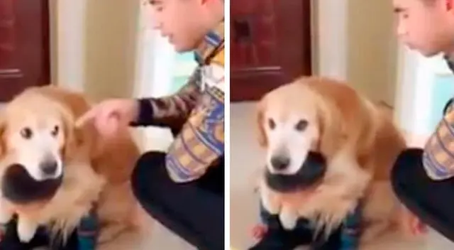 Perrito abraza a un niño para que su padre no le siga gritando Perrito abraza a un niño para que su padre no le siga gritando