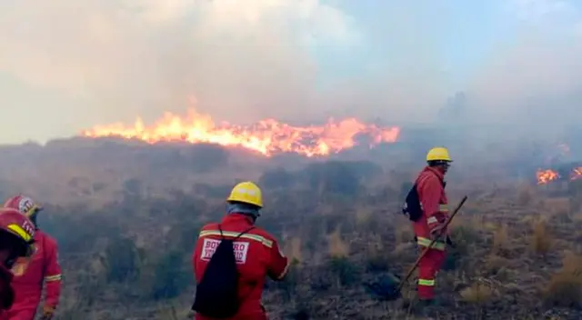Incendio forestal. Incendio forestal.