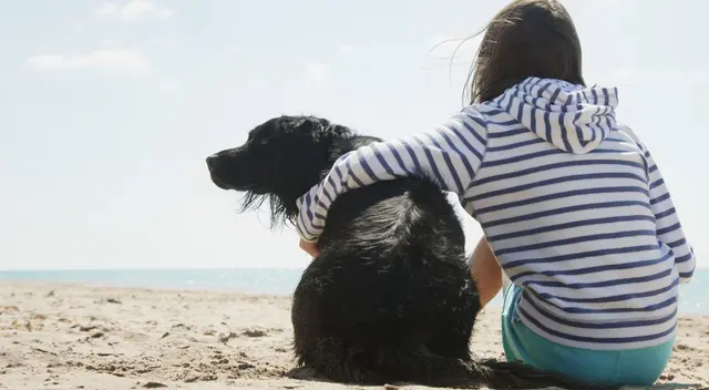El perro es considerado por muchos como el mejor amigo del hombre. El perro es considerado por muchos como el mejor amigo del hombre.