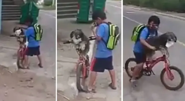 El video fue grabado por el vecino del pequeño.