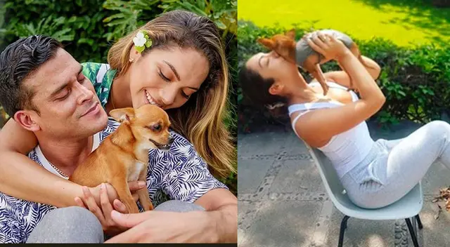 Hércules es el perrito que adoptó junto a Christian Domínguez cuando eran pareja. Hércules es el perrito que adoptó junto a Christian Domínguez cuando eran pareja.