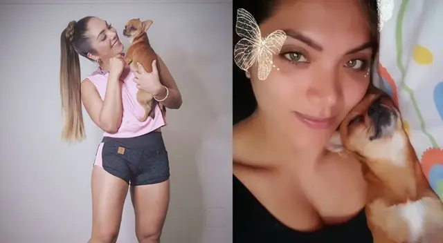 Hércules es el perrito que adoptó junto a Christian Domínguez cuando eran pareja. Hércules es el perrito que adoptó junto a Christian Domínguez cuando eran pareja.