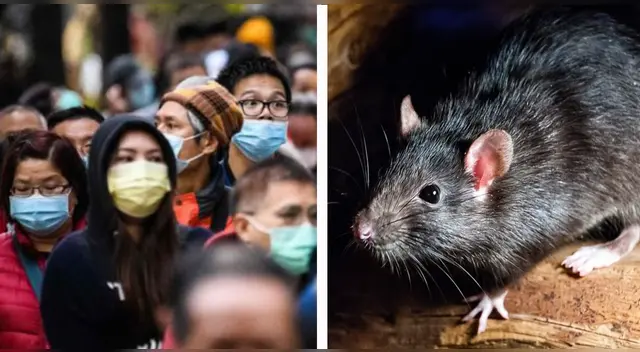 El video se volvió viral gracias a los transeúntes que estuvieron cerca y registraron toda la escena sus teléfonos móviles.