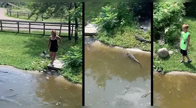 La insólita escena ha sorprendido a miles de usuarios en las redes sociales. La insólita escena ha sorprendido a miles de usuarios en las redes sociales.