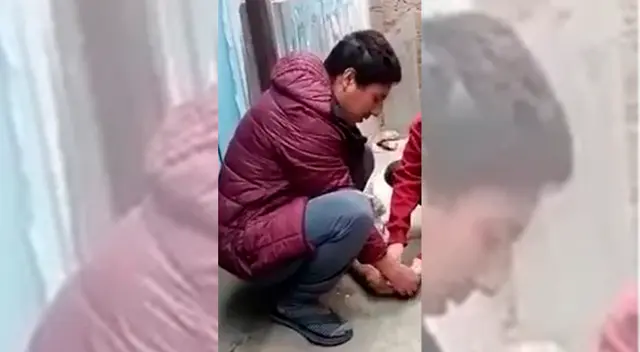 Denuncian maltrato animal en VMT.