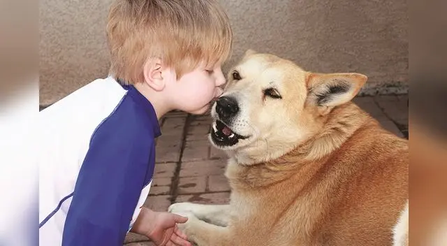 Perrito abraza a su dueño para que su padre no le siga gritando Perrito abraza a su dueño para que su padre no le siga gritando