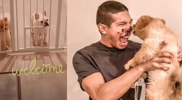 Edison Flores volvió a ser noticia en las redes sociales. Edison Flores volvió a ser noticia en las redes sociales.