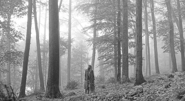 Taylor Swift reveló inesperadamente en sus redes sociales que lanzará su nueva producción, Folklore, esta noche.