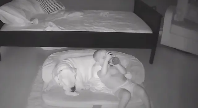 Bebé se mete todas las noches a la cama de su perrito para dormir con él Bebé se mete todas las noches a la cama de su perrito para dormir con él