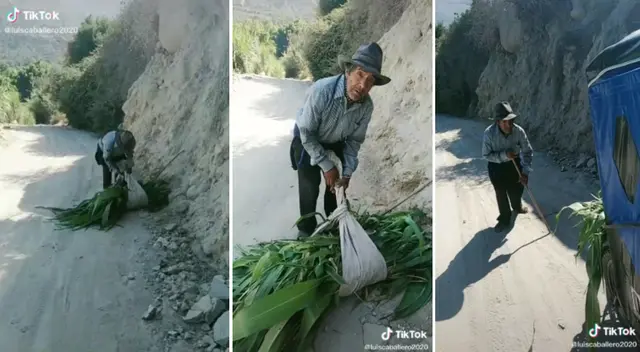 EL video fue publicado en TikTok.