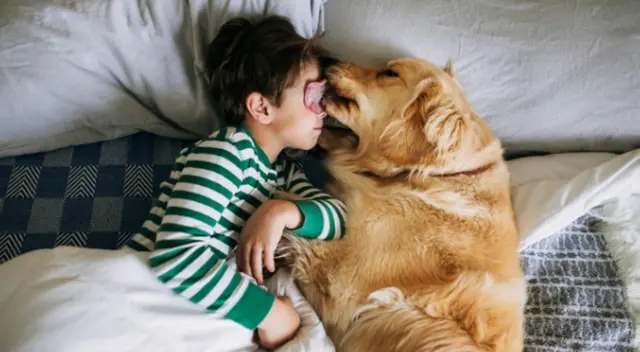 Perrito abraza a su dueño para que su padre no le siga gritando Perrito abraza a su dueño para que su padre no le siga gritando
