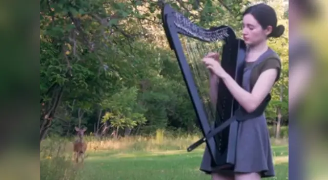 El increíble material audiovisual ha sorprendido a miles en las redes sociales.