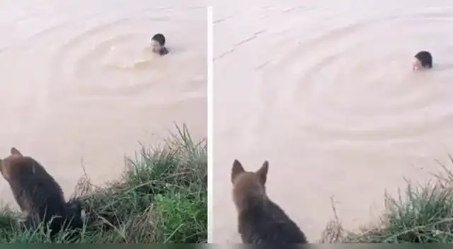 La sorprendente escena causó sensación en las redes sociales.