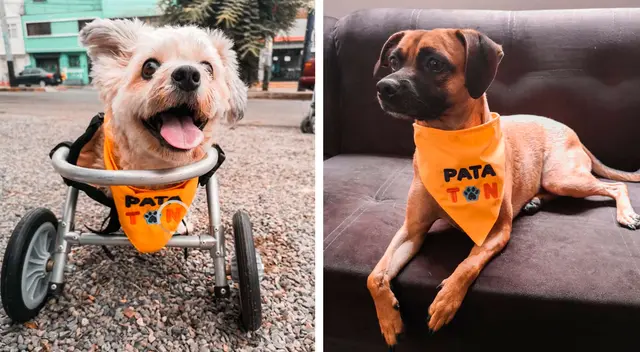 El evento virtual contará con la conducción de artistas reconocidos como Karla Tarazona y Omar Chauca.