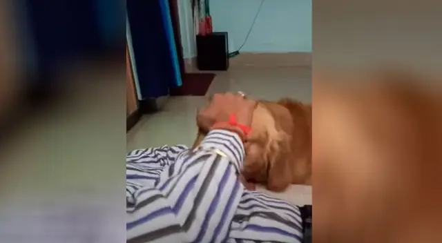 La actitud del perrito ha comovido a más de uno en YouTube.