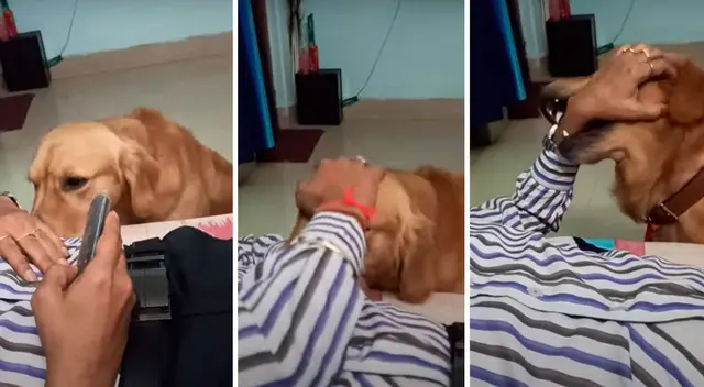 La actitud del perrito ha comovido a más de uno en YouTube.