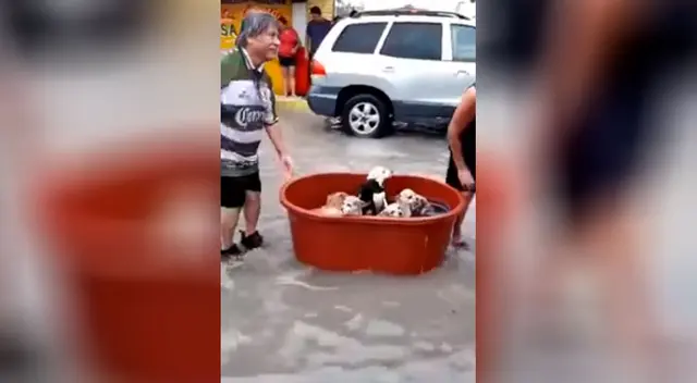 Familia se vuelve viral por rescatar a perros durante el huracán Hanna.