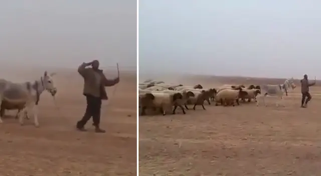 El video causó furor en Facebook. El video causó furor en Facebook.