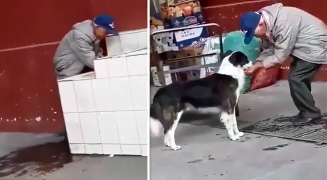 Perrito y anciano se apoderan de las redes sociales. Perrito y anciano se apoderan de las redes sociales.