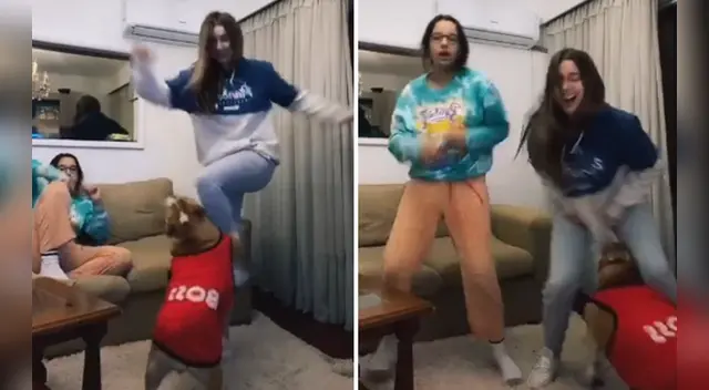 El divertido blooper causó la risa de miles en las redes sociales. El divertido blooper causó la risa de miles en las redes sociales.