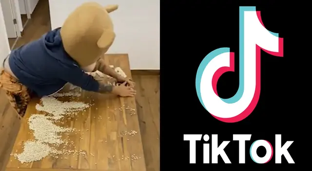 Osito Lima es la sensación en TikTok.
