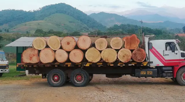 El personal intervenido fue puesto a disposición de la Policía Nacional para continuar con las acciones de acuerdo a Ley.