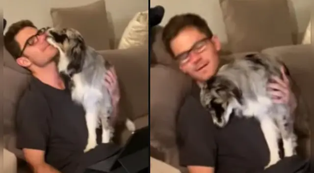 La cómica escena desató la risa de miles en las redes sociales.