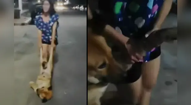 El comportamiento del can hizo estallar de risa a miles de usuarios en las redes sociales.