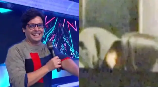 Gian Piero Díaz causó risas al asegurar que Alejandra Baigorria y Said Palao son “la pareja del año” en medio de una competencia de EEG. Gian Piero Díaz causó risas al asegurar que Alejandra Baigorria y Said Palao son “la pareja del año” en medio de una competencia de EEG.