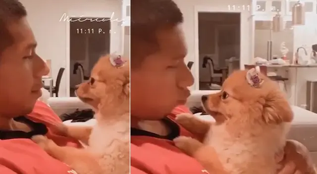 Edison Flores y Ana Siucho enternecieron en las redes sociales. Edison Flores y Ana Siucho enternecieron en las redes sociales.