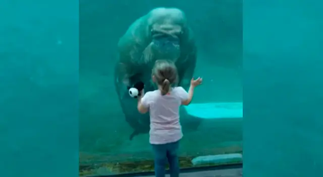 El preciso momento donde la morsa le envía un beso a la pequeña.