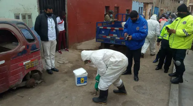 Realizan campaña para el control de ratas en asentamiento humano de Surco.