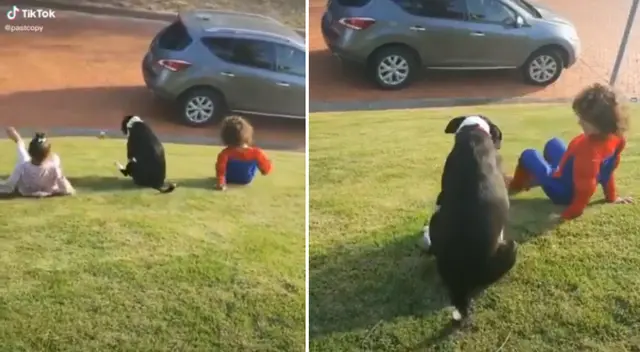 Niños y su perro enamoran a miles en TikTok. Niños y su perro enamoran a miles en TikTok.