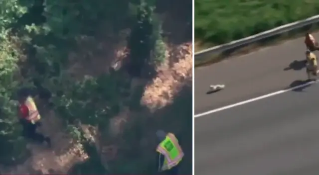 El pequeño Bichón maltés poniendo en aprietos a los policías. El pequeño Bichón maltés poniendo en aprietos a los policías.