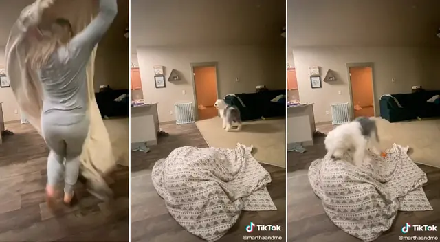 Escenas de la perrita durante la broma cruel de su ama.