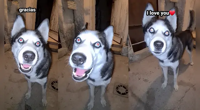 La peculiar escena causó furor en las redes sociales.