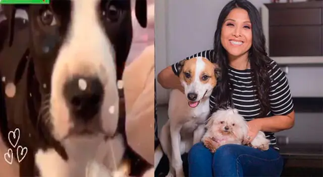 Tula Rodríguez se divierte con sus mascotas. Tula Rodríguez se divierte con sus mascotas.