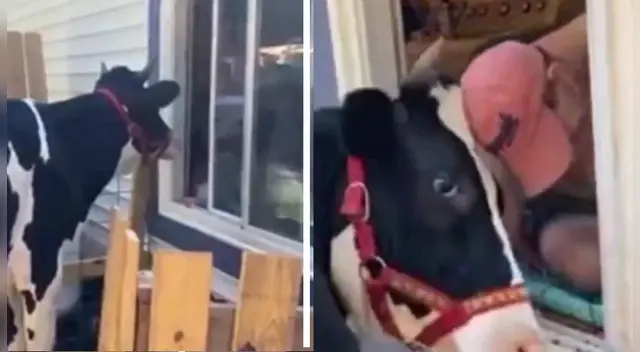 La conmovedora escena se robó el corazón de varios usuarios en las redes sociales. La conmovedora escena se robó el corazón de varios usuarios en las redes sociales.