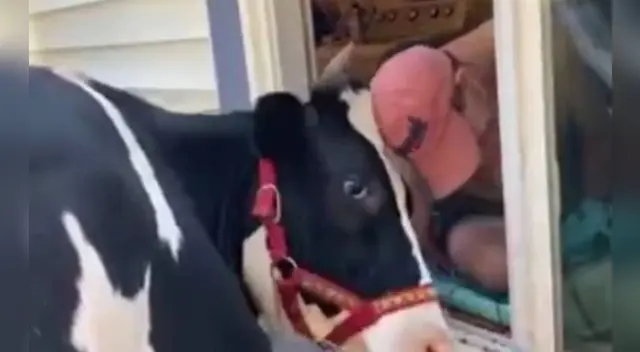 La conmovedora escena se robó el corazón de varios usuarios en las redes sociales. La conmovedora escena se robó el corazón de varios usuarios en las redes sociales.