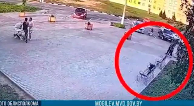 Astuto cuervo se lleva el dinero de un ladrón que recién había robado Astuto cuervo se lleva el dinero de un ladrón que recién había robado