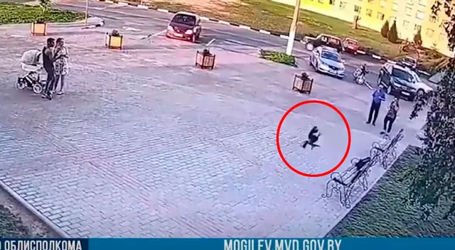 Astuto cuervo se lleva el dinero de un ladrón que recién había robado Astuto cuervo se lleva el dinero de un ladrón que recién había robado