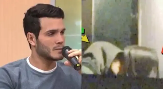 Mario Irivarren aclaró que él no se metió en la vida sentimental de sus amigos, Alejandra Baigorria, y Said Palao, pues considera que esos son temas privados.