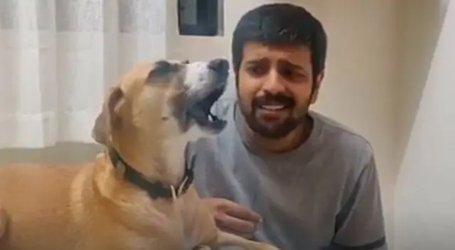 Perrita intenta imitar a su dueño cantando y el video divierte a miles Perrita intenta imitar a su dueño cantando y el video divierte a miles
