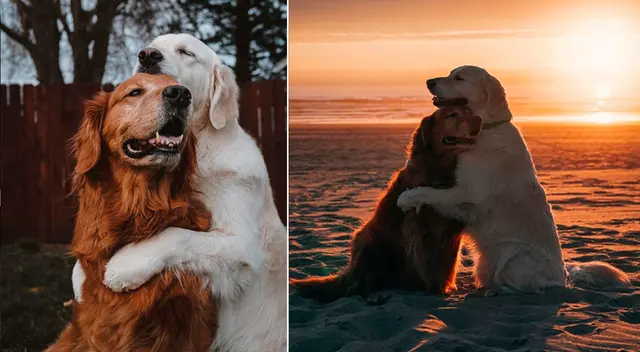 Watson y Kiko son amigos entrañables en Instagram.