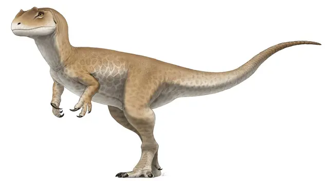 Los dinosaurios más conocidos aparecieron en este período. Los dinosaurios más conocidos aparecieron en este período.