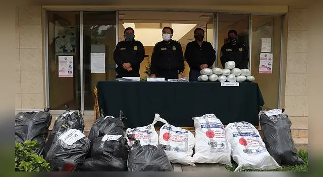 La Policía decomisó más de 200 kilos de marihuana