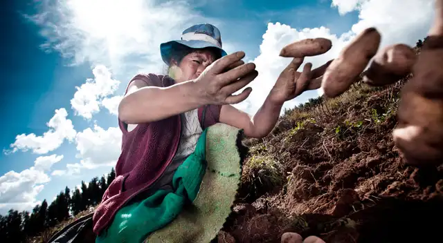A nivel nacional, la agricultura familiar representa el 97 % de las unidades agropecuarias, y que el 83 % de los trabajadores de campo dependen de esa actividad. A nivel nacional, la agricultura familiar representa el 97 % de las unidades agropecuarias, y que el 83 % de los trabajadores de campo dependen de esa actividad.