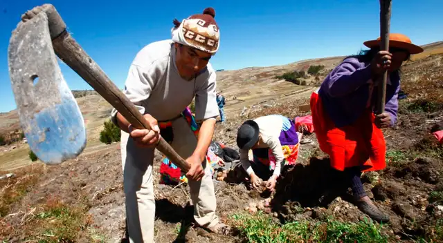 La agricultura es el segundo proveedor de divisas por detrás de la minería y representa el 5.3 % del Producto Bruto Interno (PBI) de nuestro territorio. La agricultura es el segundo proveedor de divisas por detrás de la minería y representa el 5.3 % del Producto Bruto Interno (PBI) de nuestro territorio.