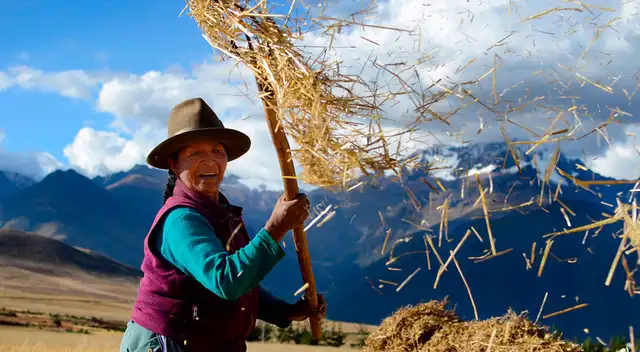 Foto: Sharon Castellanos Foto: Sharon Castellanos