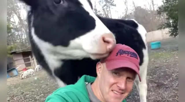 El video viral cuenta con miles de reproducciones en las redes sociales. El video viral cuenta con miles de reproducciones en las redes sociales.